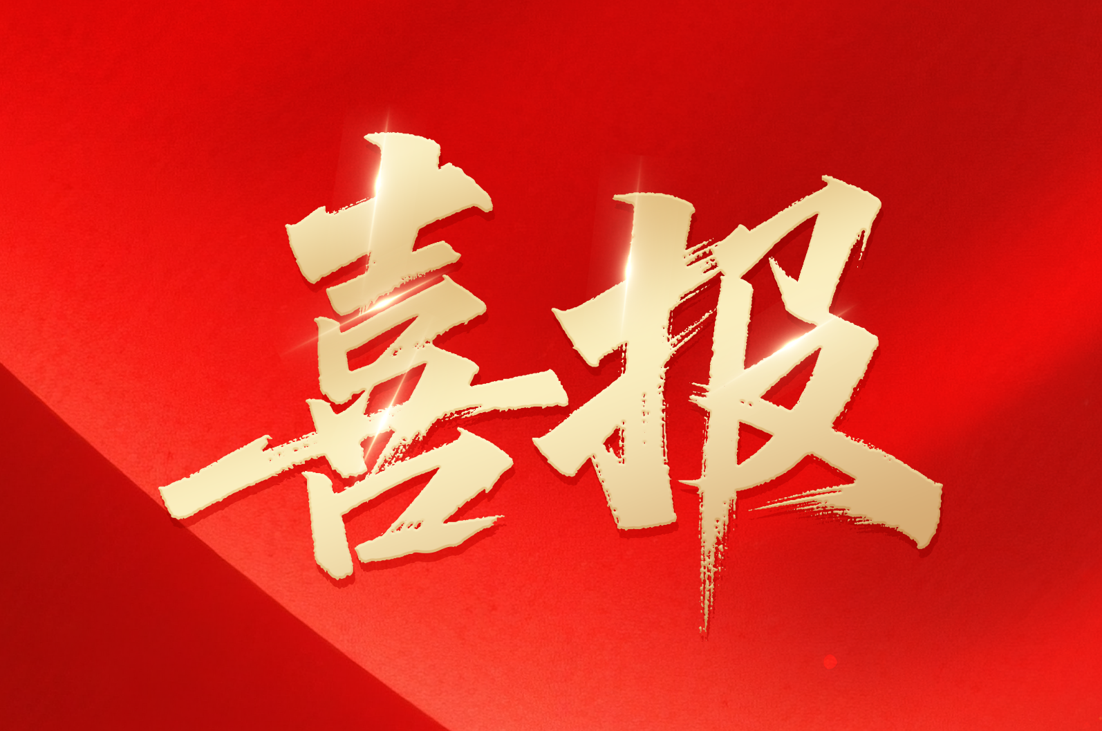 1277星际电子在线｜喜报！！公司荣获2024年拼搏奋进·衢州市长特殊奖市政府质量奖