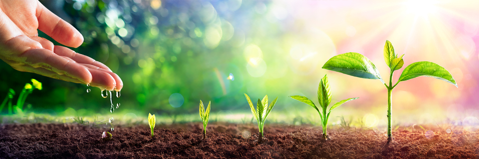 1277星际电子(中国游)官方游戏网址