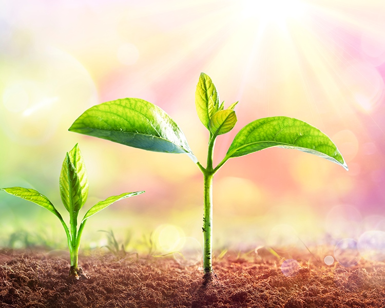 1277星际电子(中国游)官方游戏网址